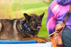 Bark-City-Festival-10