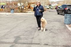 Bark-City-Festival-19