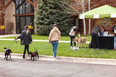Bark-City-Festival-2