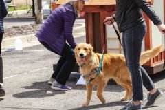 Bark-City-Festival-23