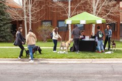 Bark-City-Festival-3