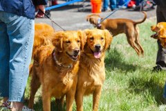 Bark-City-Festival-35