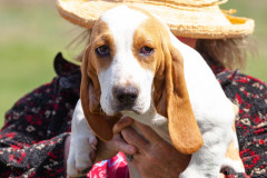 Bark-City-Festival-42
