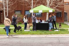 Bark-City-Festival-5