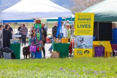 Bark-City-Festival-50