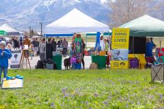 Bark-City-Festival-51