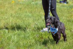 Bark-City-Festival-52