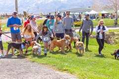 Bark-City-Festival-54