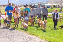 Bark-City-Festival-55