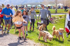Bark-City-Festival-56