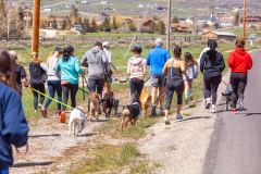 Bark-City-Festival-57