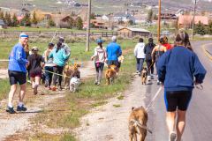 Bark-City-Festival-58