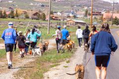 Bark-City-Festival-59