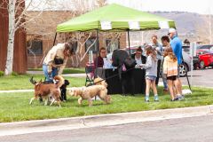 Bark-City-Festival-6