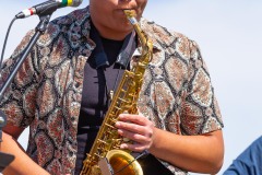 Bark-City-Festival-74
