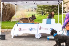 Bark-City-Festival-9