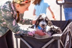 Bark-City-Festival-96
