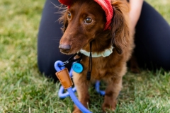 Bark-City-2026-1