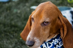 Bark-City-2026-115