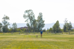 Bark-City-2026-13
