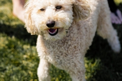 Bark-City-2026-150