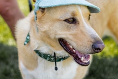 Bark-City-2026-151