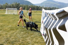 Bark-City-2026-19