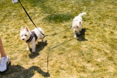 Bark-City-2026-195