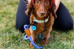 Bark-City-2026-2