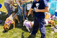 Bark-City-2026-206