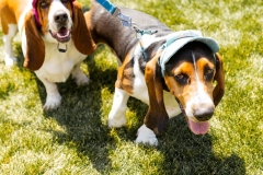 Bark-City-2026-210