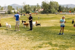 Bark-City-2026-219