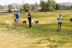 Bark-City-2026-220