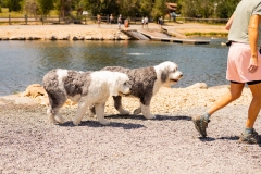 Bark-City-2026-224