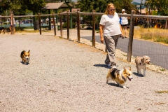 Bark-City-2026-226