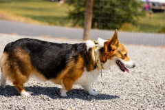 Bark-City-2026-229