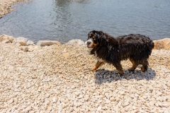 Bark-City-2026-232