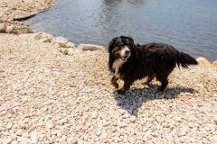 Bark-City-2026-233