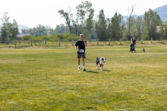 Bark-City-2026-24