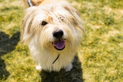 Bark-City-2026-243