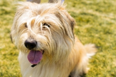 Bark-City-2026-244