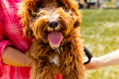 Bark-City-2026-245