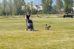 Bark-City-2026-25