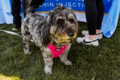 Bark-City-2026-251