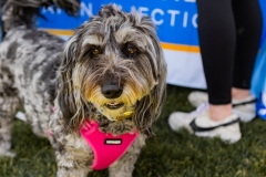 Bark-City-2026-252