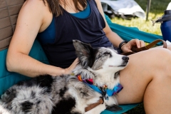 Bark-City-2026-253