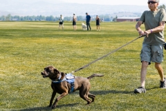 Bark-City-2026-26
