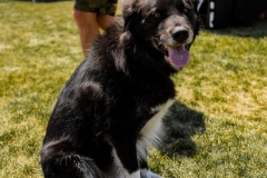 Bark-City-2026-265