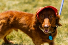 Bark-City-2026-266