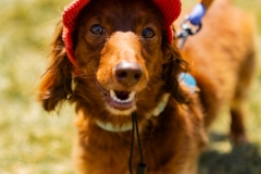 Bark-City-2026-268